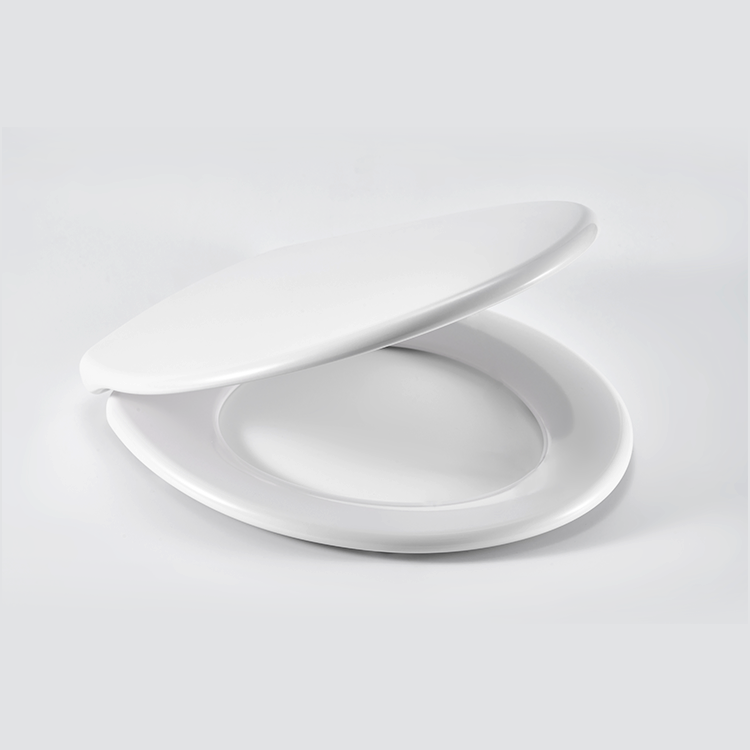 Toilet Seat